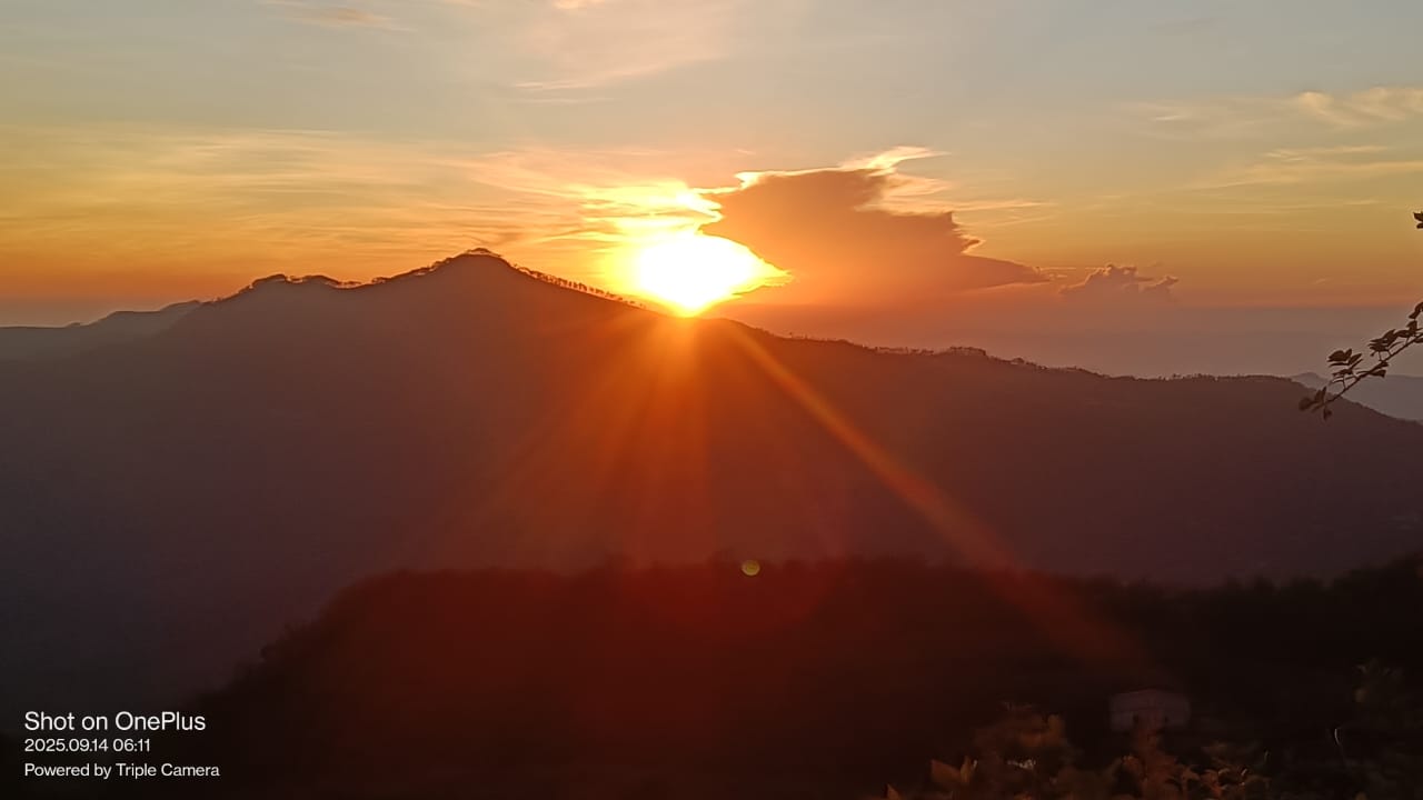 WhatsApp Image 2026-04-03 at 1.15.35 PM (1)