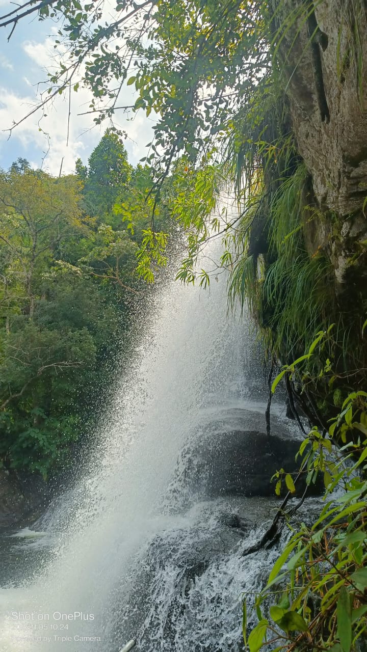 WhatsApp Image 2026-04-03 at 1.15.35 PM