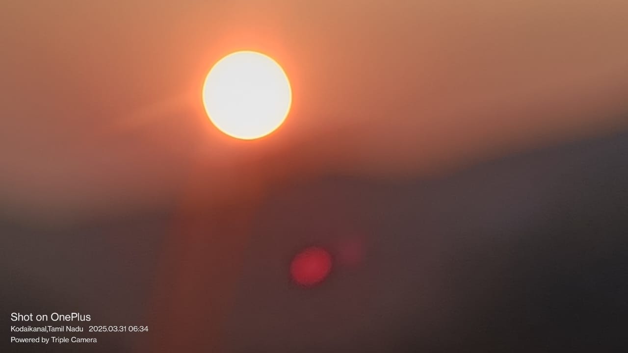 WhatsApp Image 2026-04-03 at 1.15.38 PM