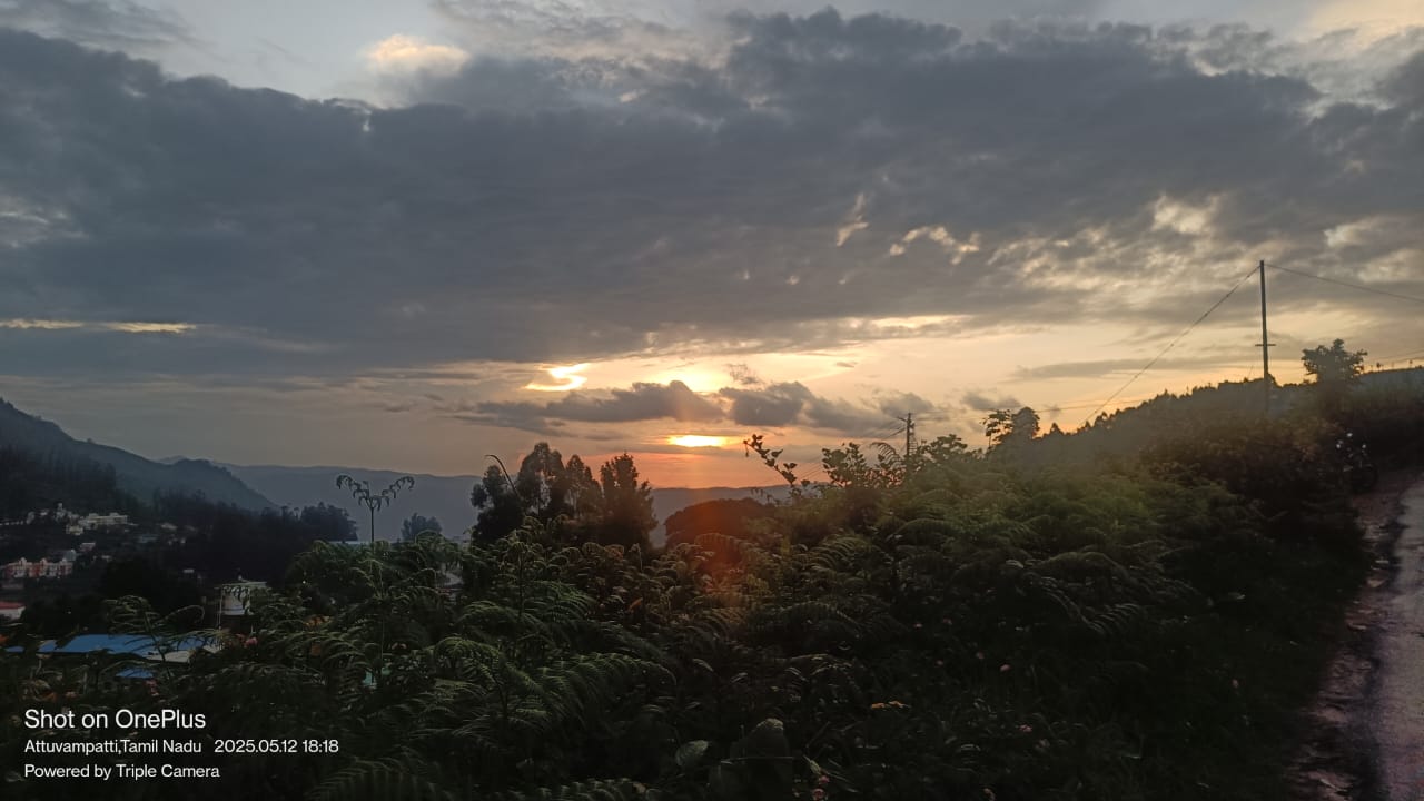 WhatsApp Image 2026-04-03 at 1.15.42 PM