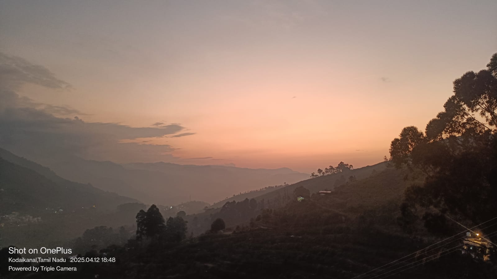 WhatsApp Image 2026-04-03 at 1.15.46 PM (1)