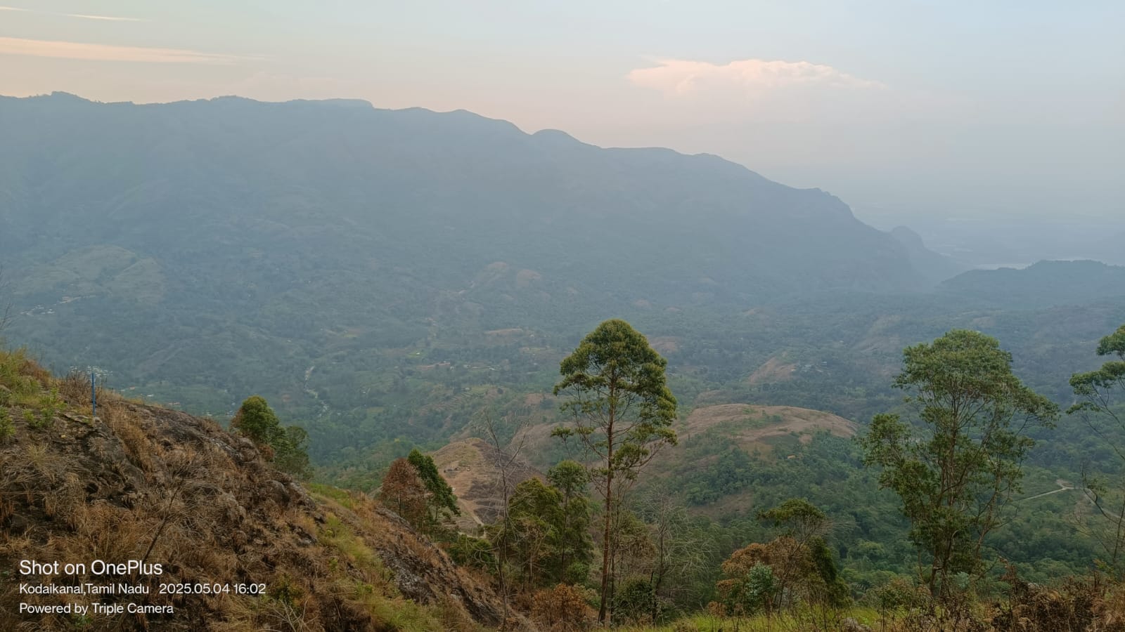 WhatsApp Image 2026-04-03 at 1.15.46 PM (2)