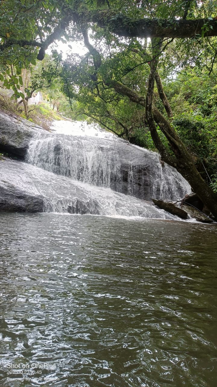 WhatsApp Image 2026-04-03 at 1.15.47 PM