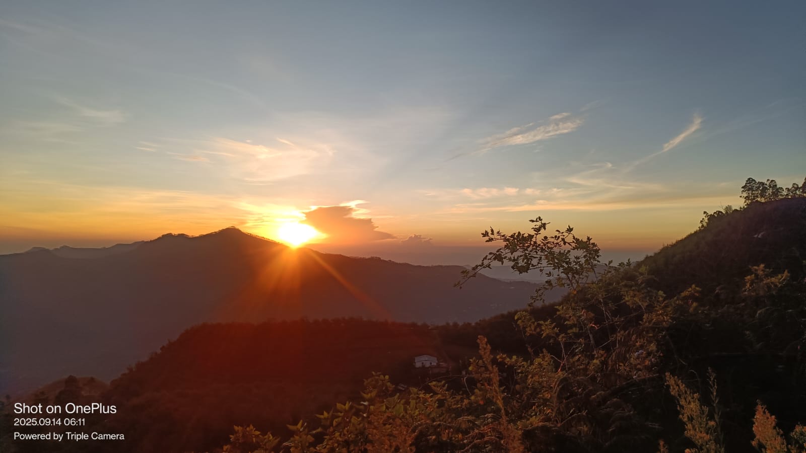 WhatsApp Image 2026-04-03 at 1.15.47 PM