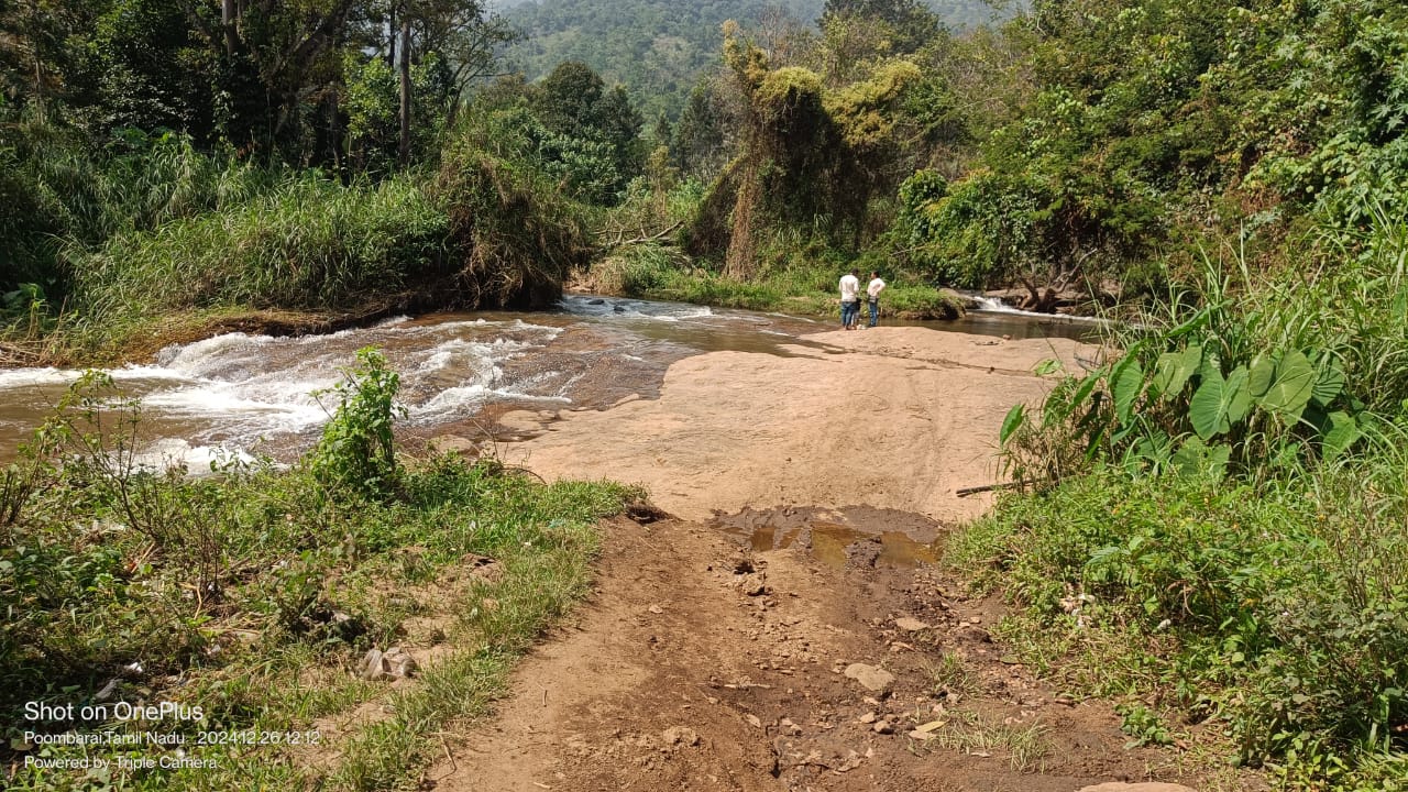 WhatsApp Image 2026-04-03 at 1.15.48 PM (1)