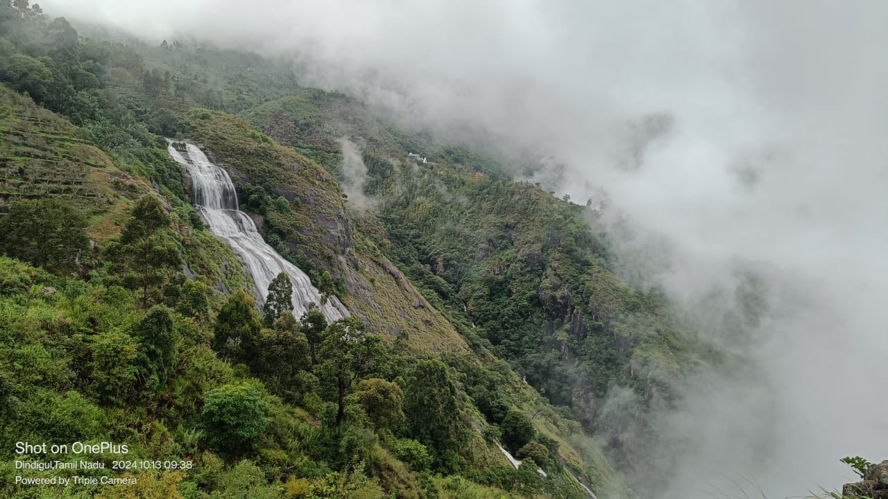 WhatsApp Image 2026-04-03 at 1.15.49 PM (1)