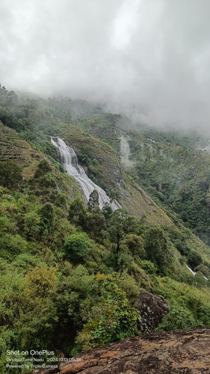 WhatsApp Image 2026-04-03 at 1.15.49 PM