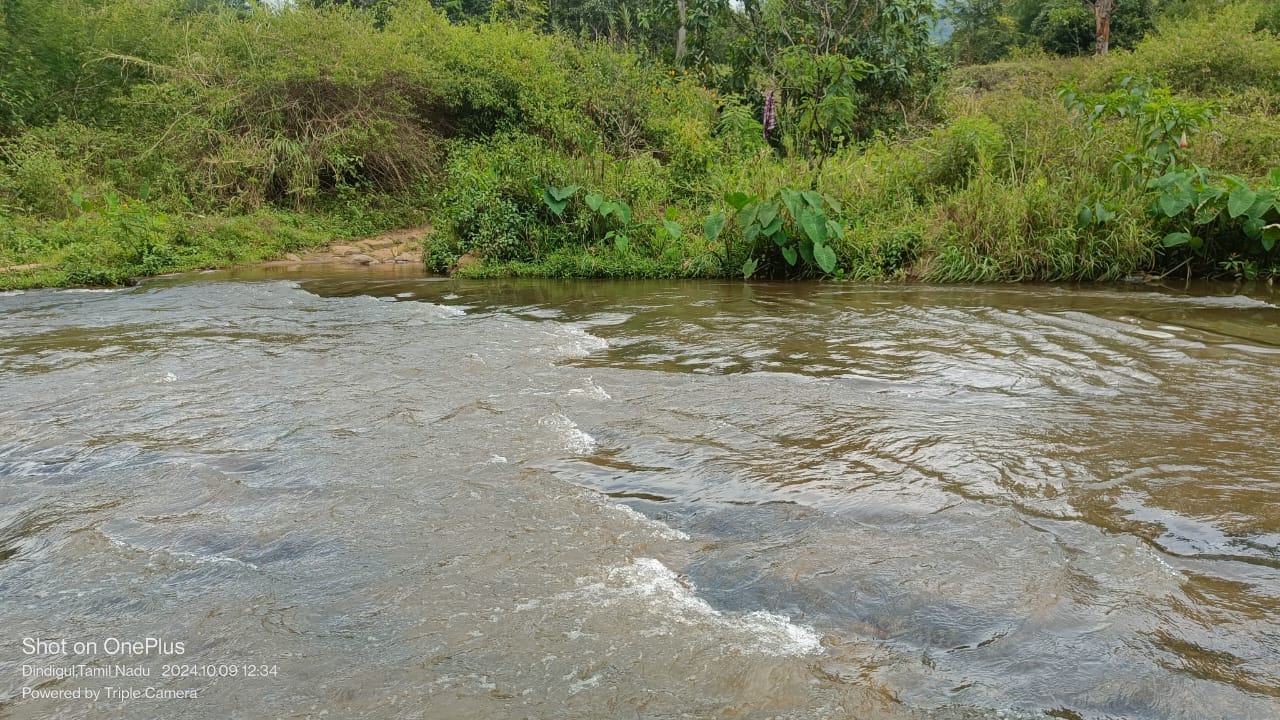 WhatsApp Image 2026-04-03 at 1.15.50 PM (1)