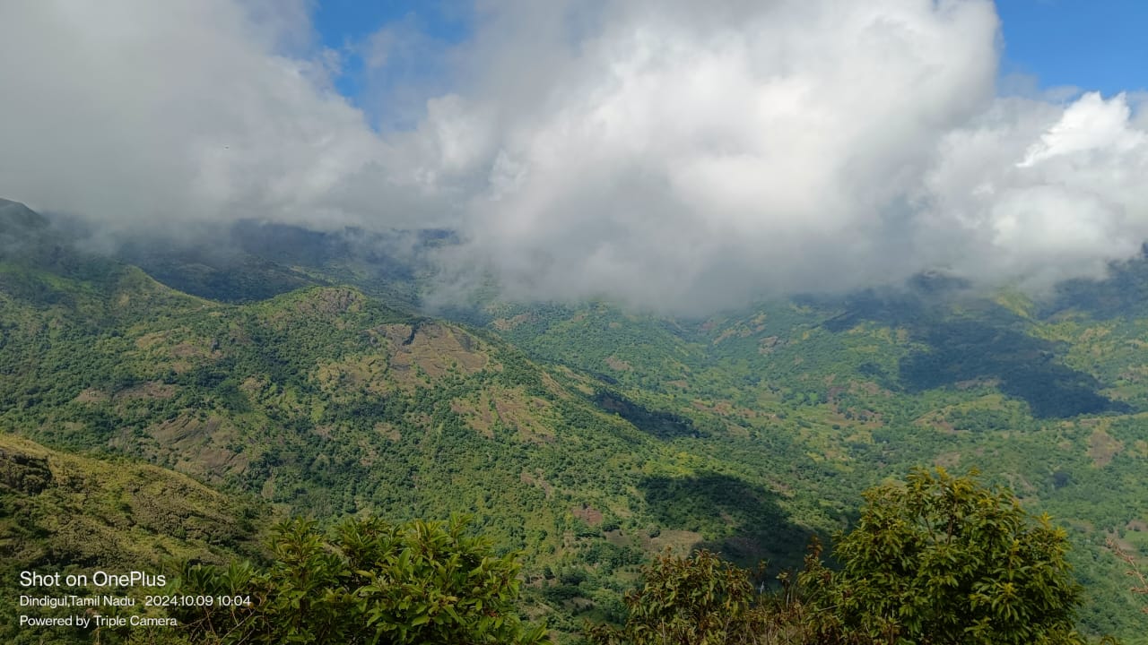 WhatsApp Image 2026-04-03 at 1.15.50 PM