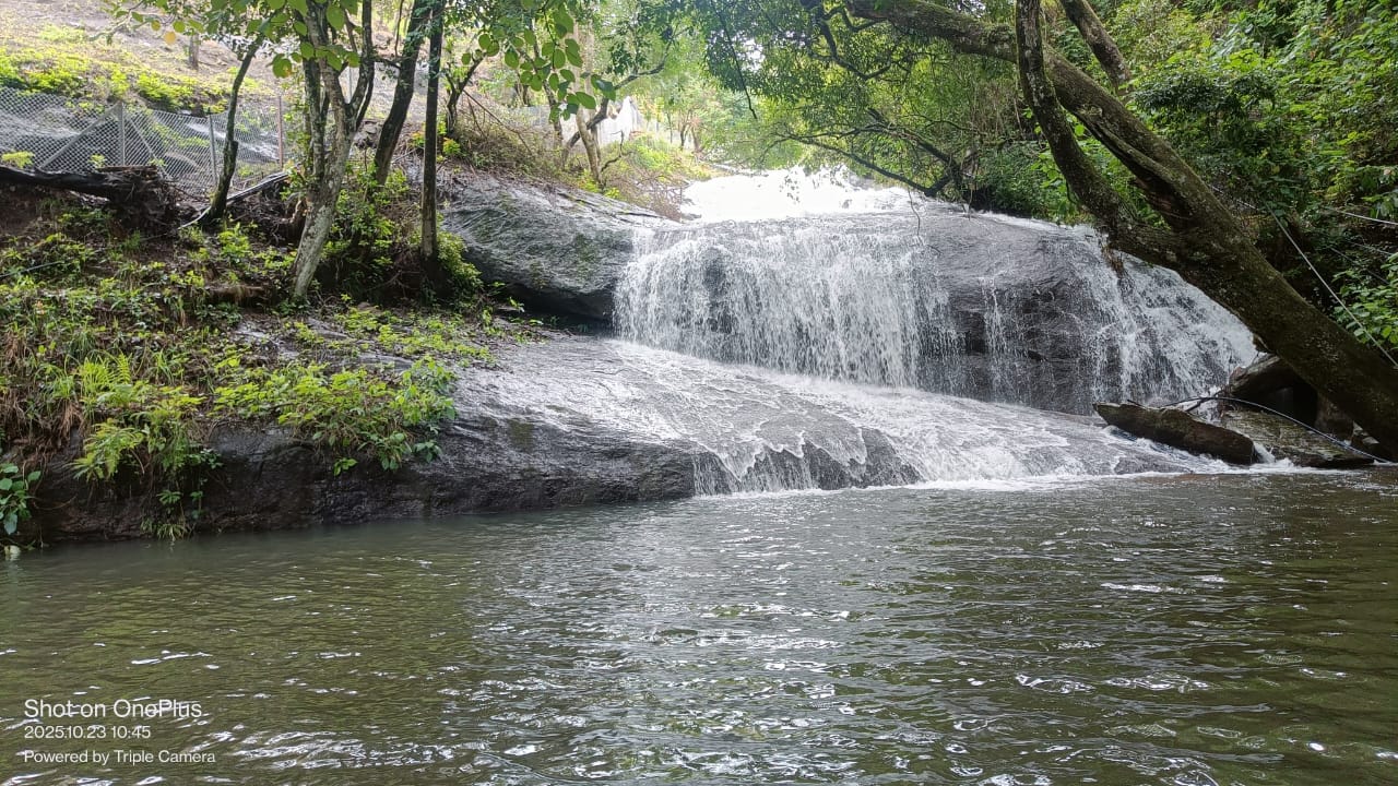 WhatsApp Image 2026-04-03 at 1.15.51 PM