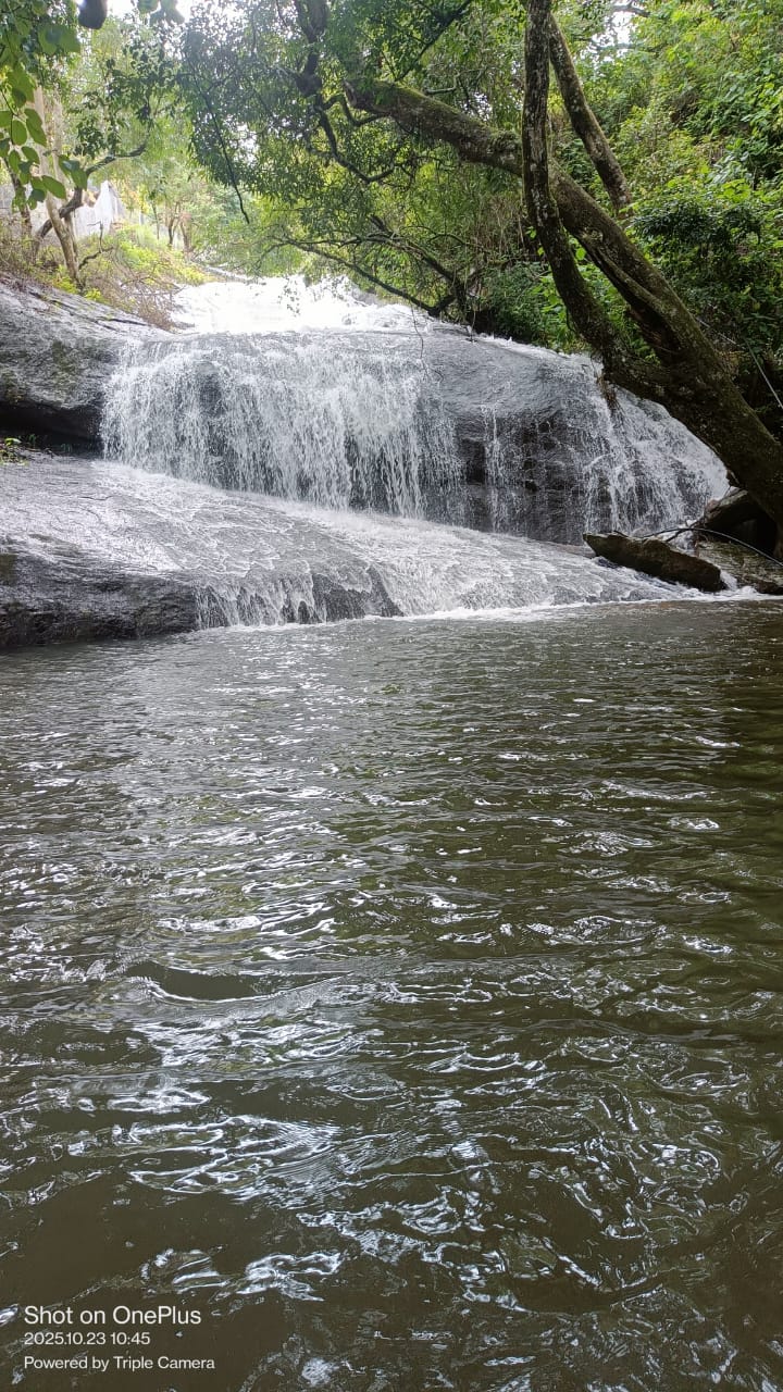 WhatsApp Image 2026-04-03 at 1.15.54 PM (1)