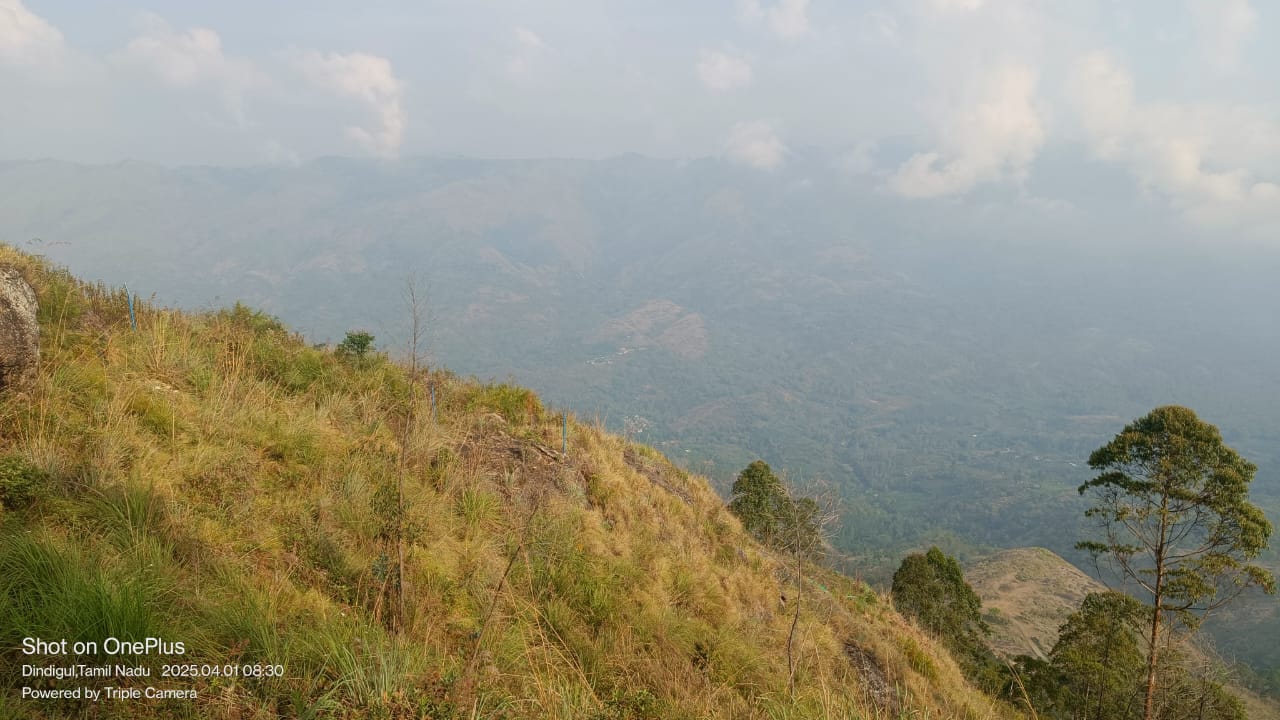 WhatsApp Image 2026-04-03 at 1.15.54 PM (2)