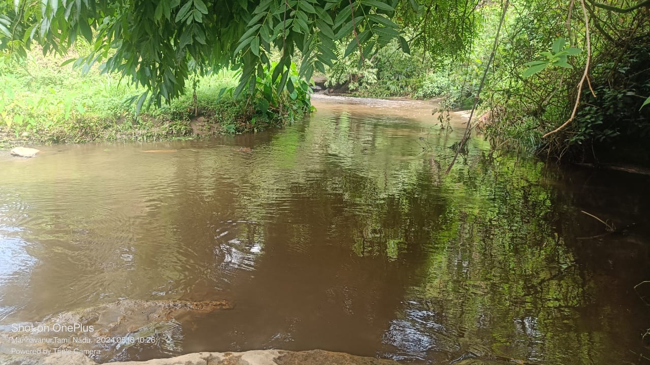 WhatsApp Image 2026-04-03 at 1.15.55 PM (1)