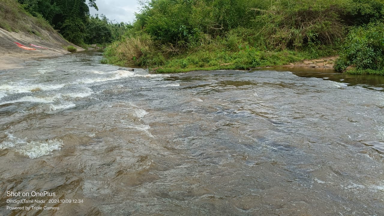 WhatsApp Image 2026-04-03 at 1.15.55 PM