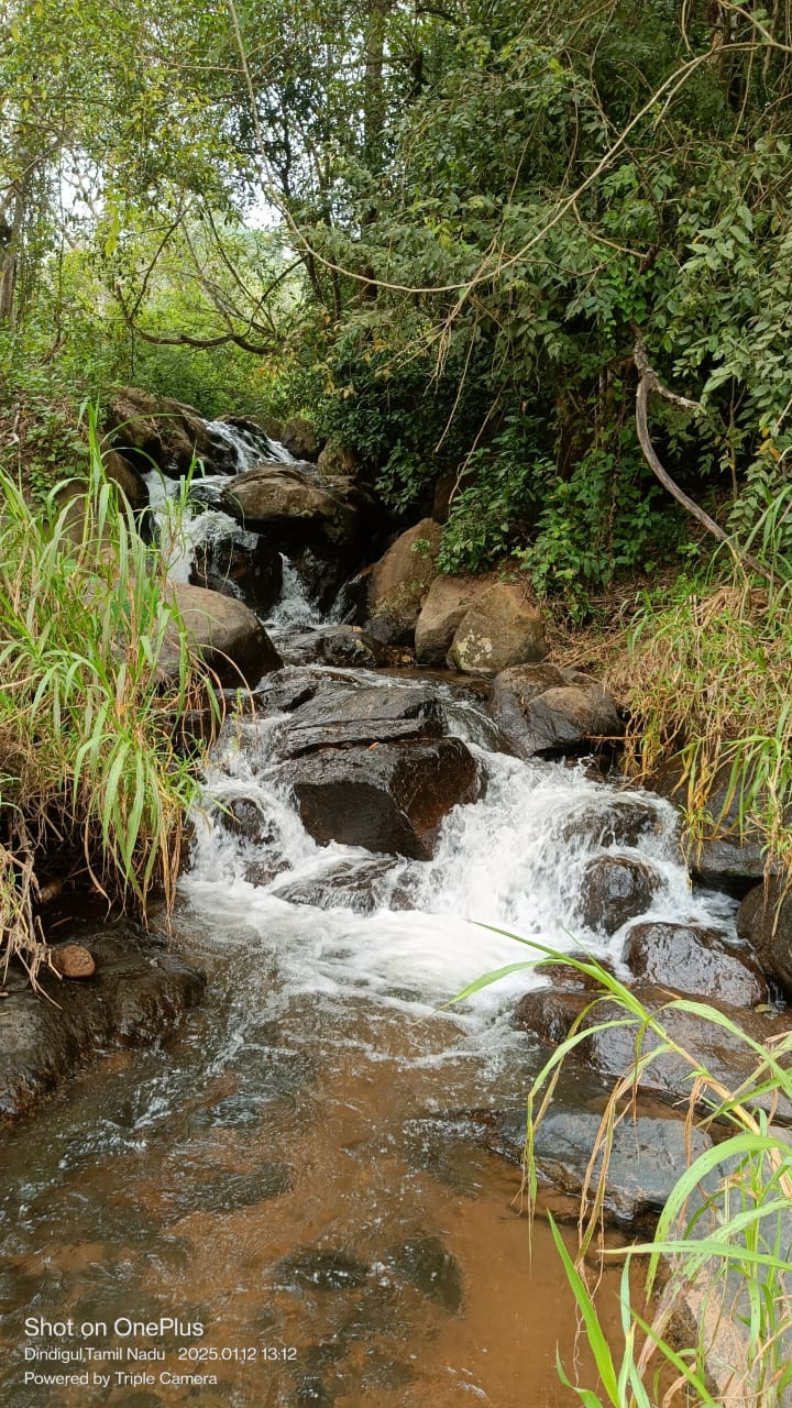 WhatsApp Image 2026-04-03 at 1.15.56 PM (1)