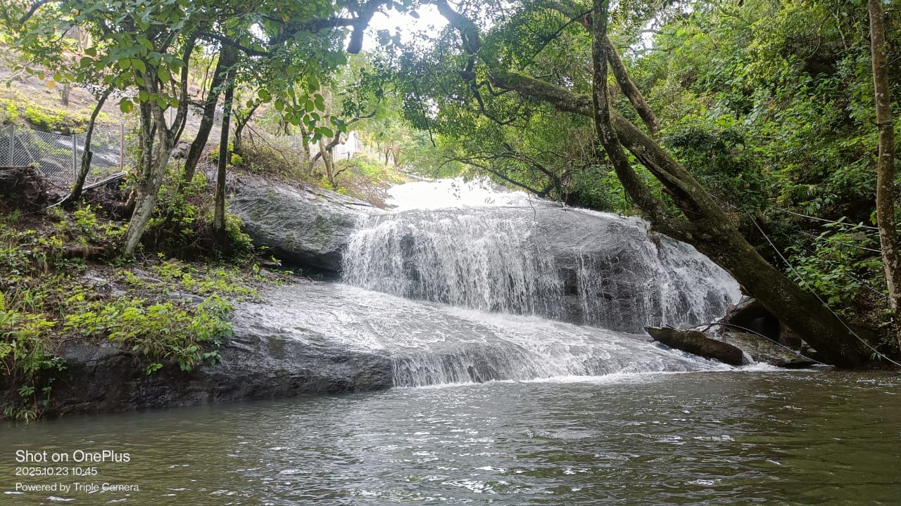 WhatsApp Image 2026-04-03 at 1.15.57 PM (1)