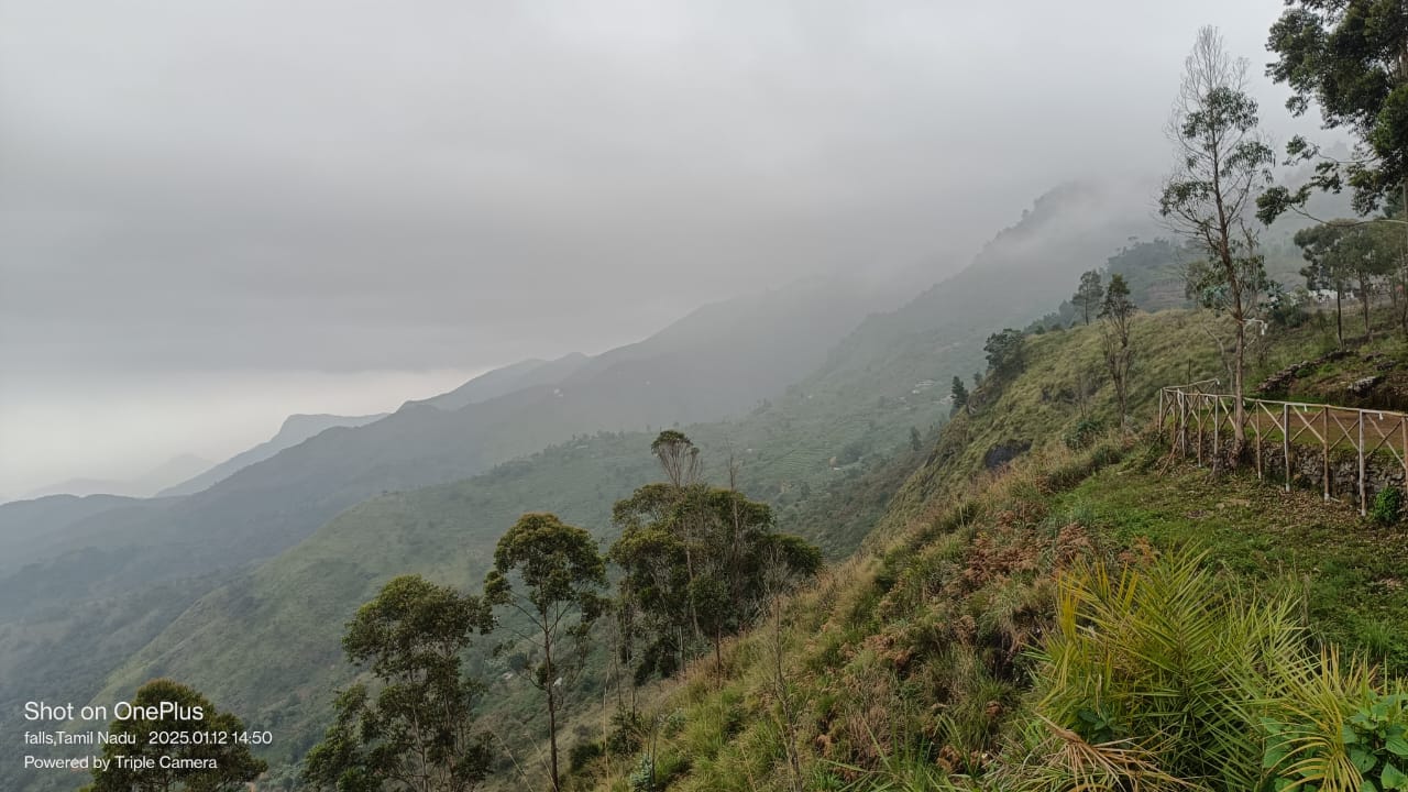 WhatsApp Image 2026-04-03 at 1.15.57 PM