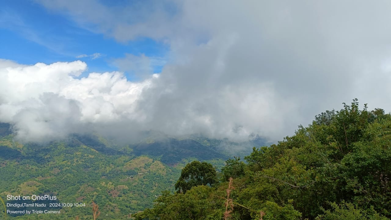 WhatsApp Image 2026-04-03 at 1.16.01 PM